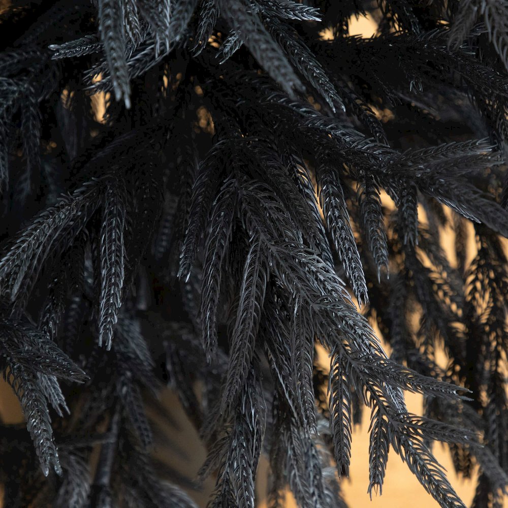 6ft. Artificial Halloween Real Touch Black Norfolk Pine Christmas Tree. Picture 5