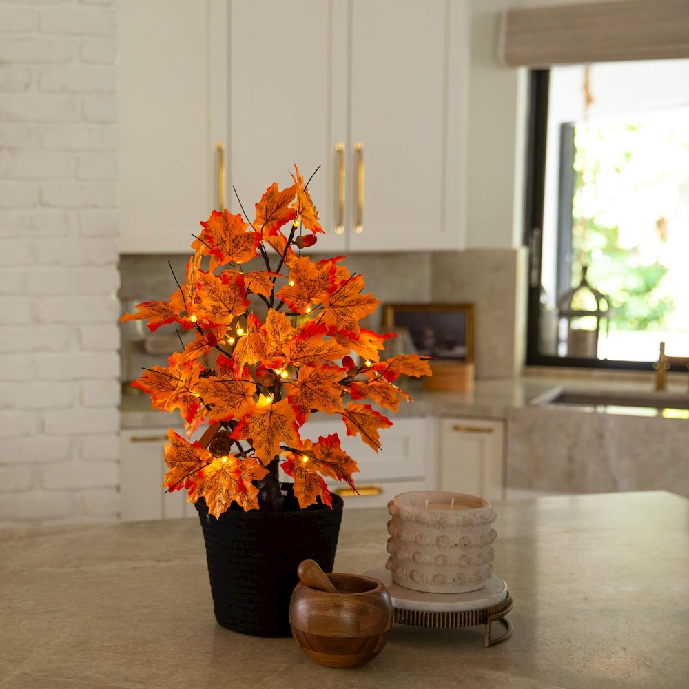 2ft. Pre-Lit Autumn Maple Artificial Fall Tree with Acorns & Pinecones. Picture 2
