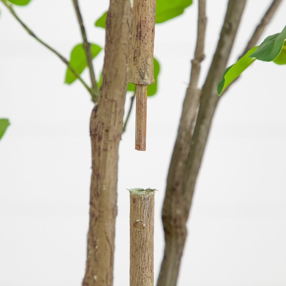 6ft. Artificial Dogwood Tree with Real Touch Leaves. Picture 5