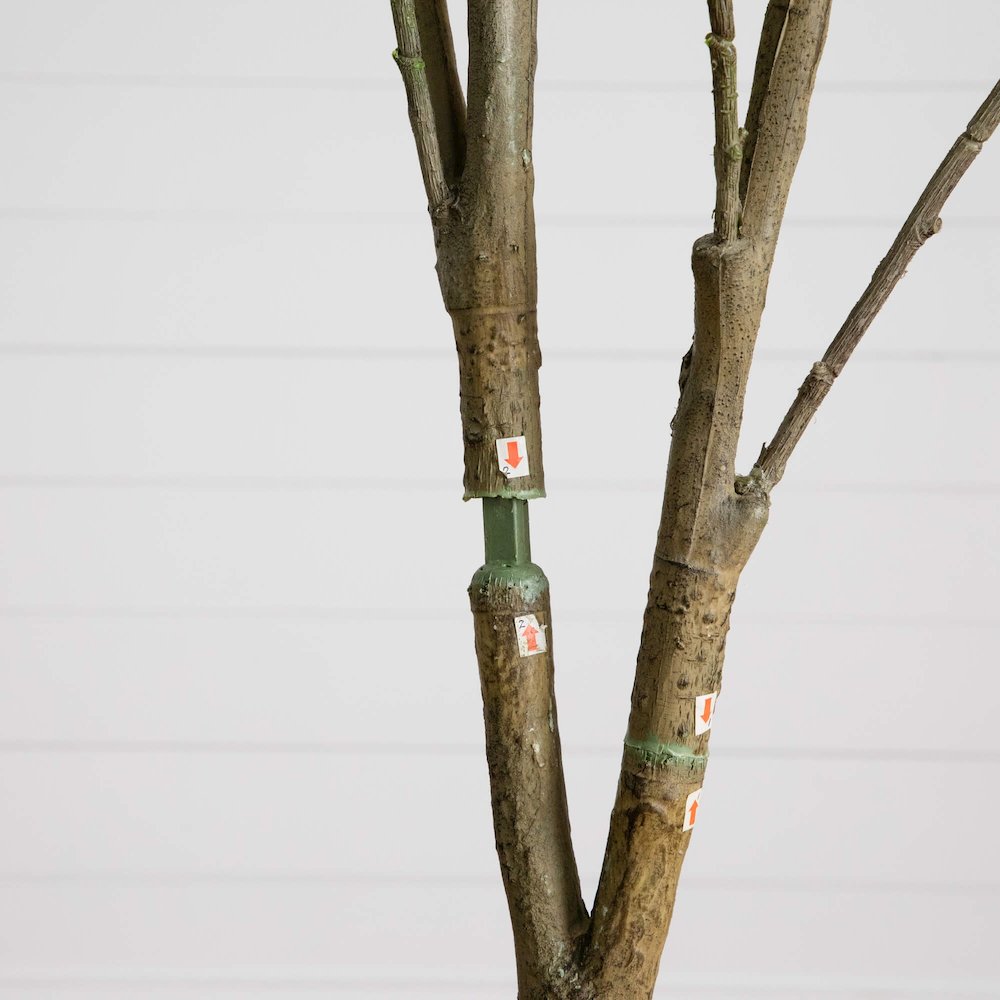 7ft. Artificial Dogwood Tree. Picture 9