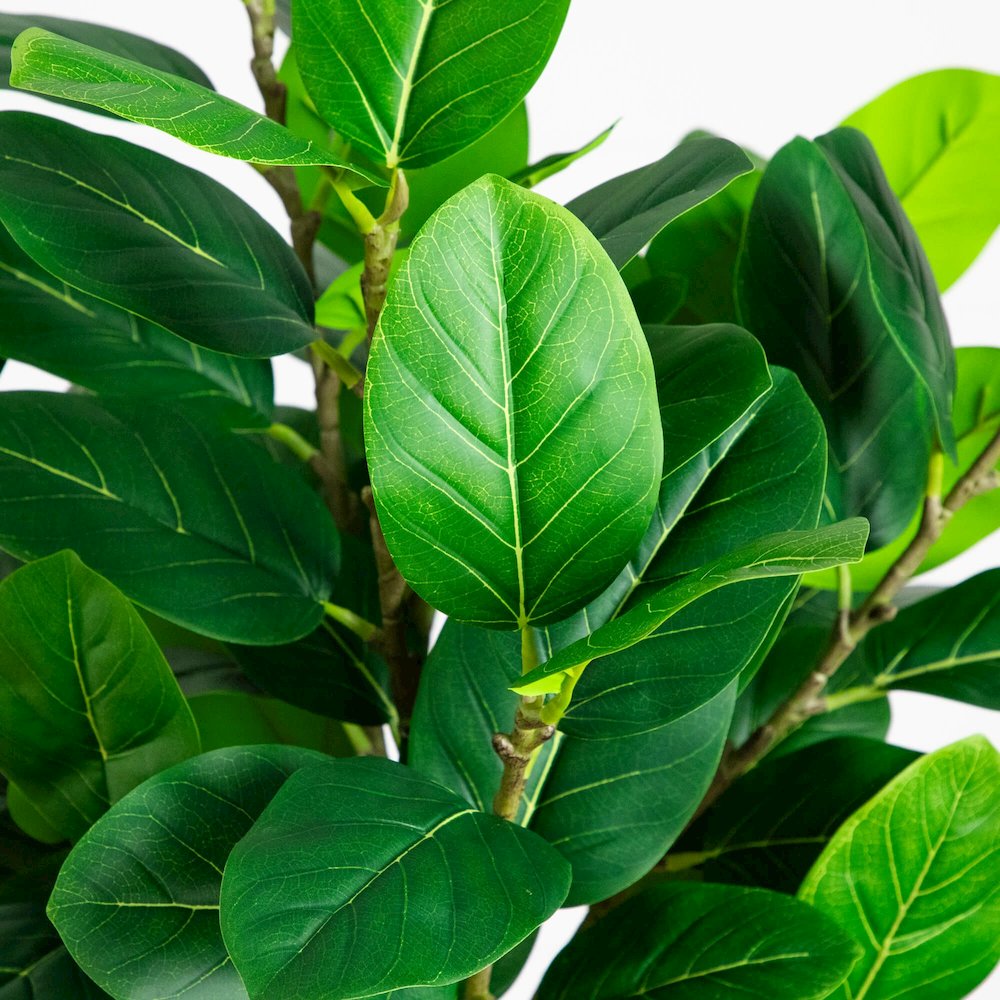 5ft. Artificial Petite Audrey Ficus Tree. Picture 8