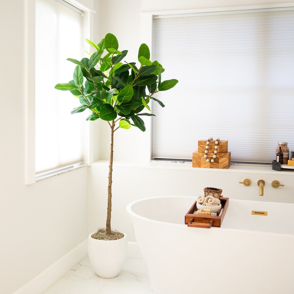 5ft. Artificial Petite Audrey Ficus Tree. Picture 6
