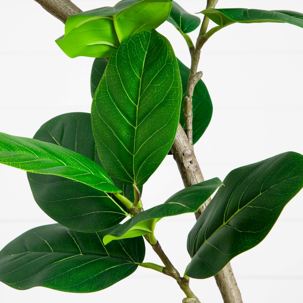 7ft. Artificial Curved Trunk Audrey Ficus Tree. Picture 3