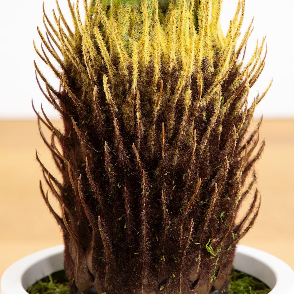 30in. UV Resistant Artificial Cycas Palm Tree in White Decorative Planter. Picture 8