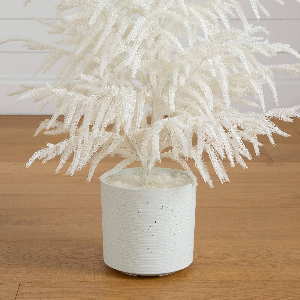 3ft. Artificial Real Touch White Norfolk Island Pine Christmas Tree. Picture 2
