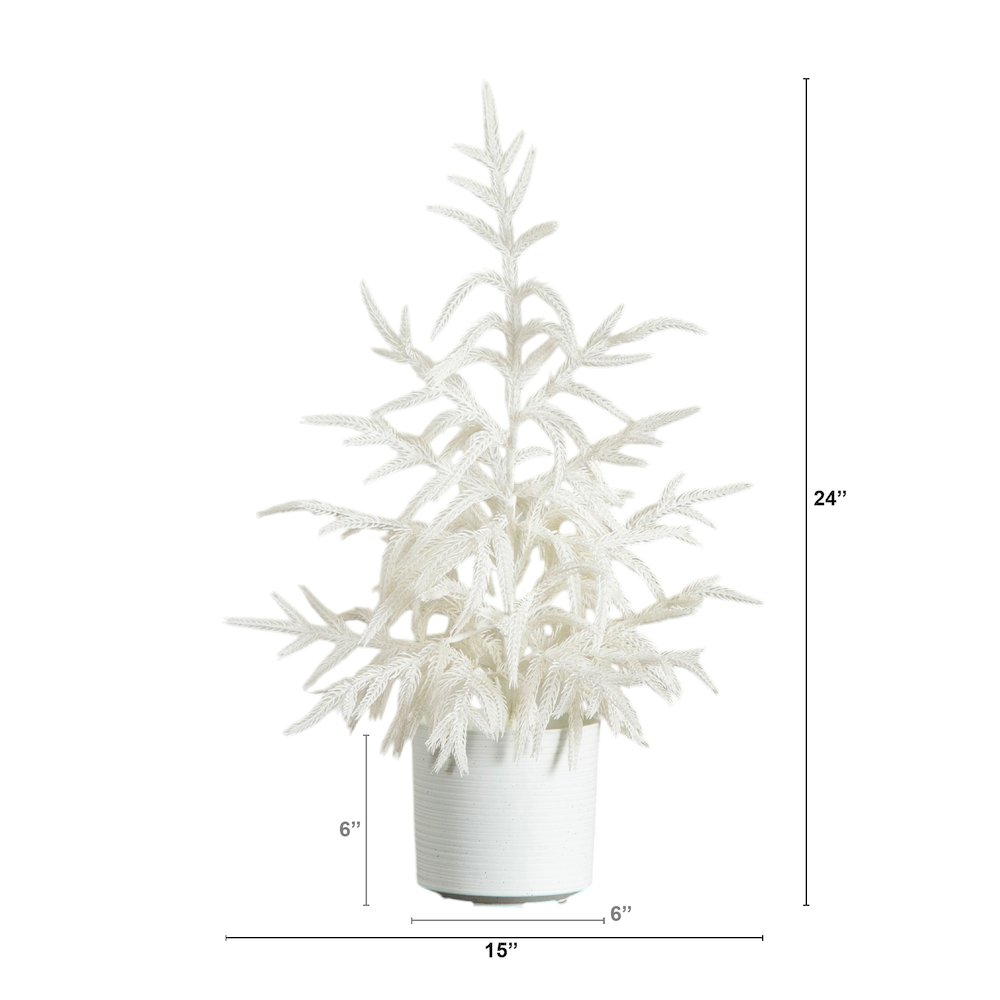 2ft. Artificial Real Touch White Norfolk Island Pine Christmas Tree. Picture 2