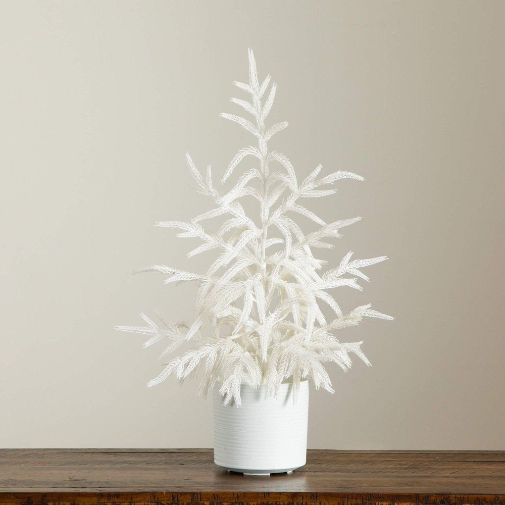 2ft. Artificial Real Touch White Norfolk Island Pine Christmas Tree. Picture 6
