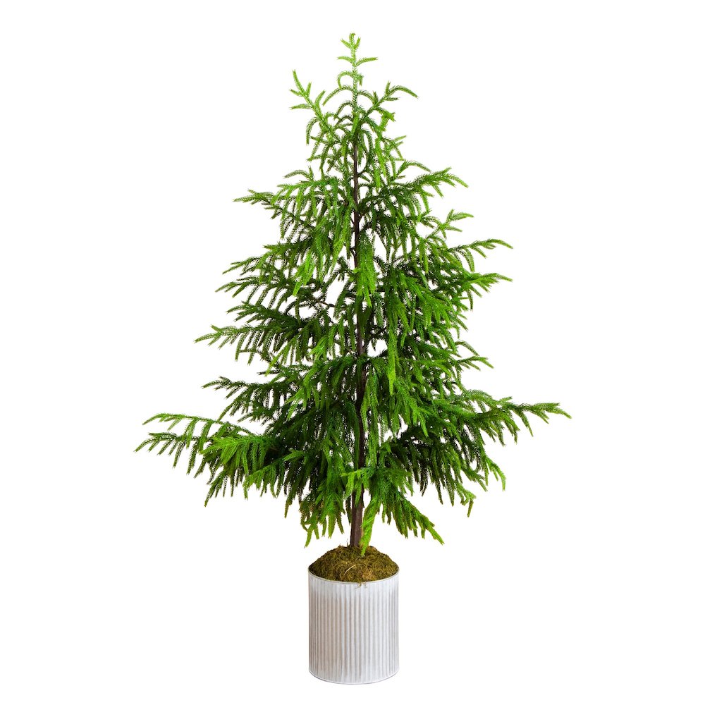 5ft. Artificial Real Touch Norfolk Island Pine in Metal Tin Planter. Picture 4