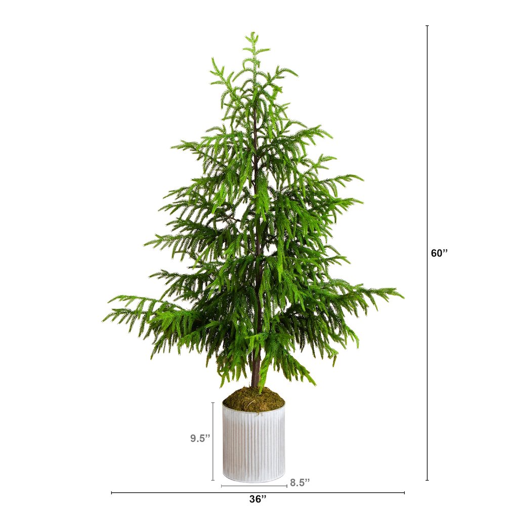 5ft. Artificial Real Touch Norfolk Island Pine in Metal Tin Planter. Picture 1