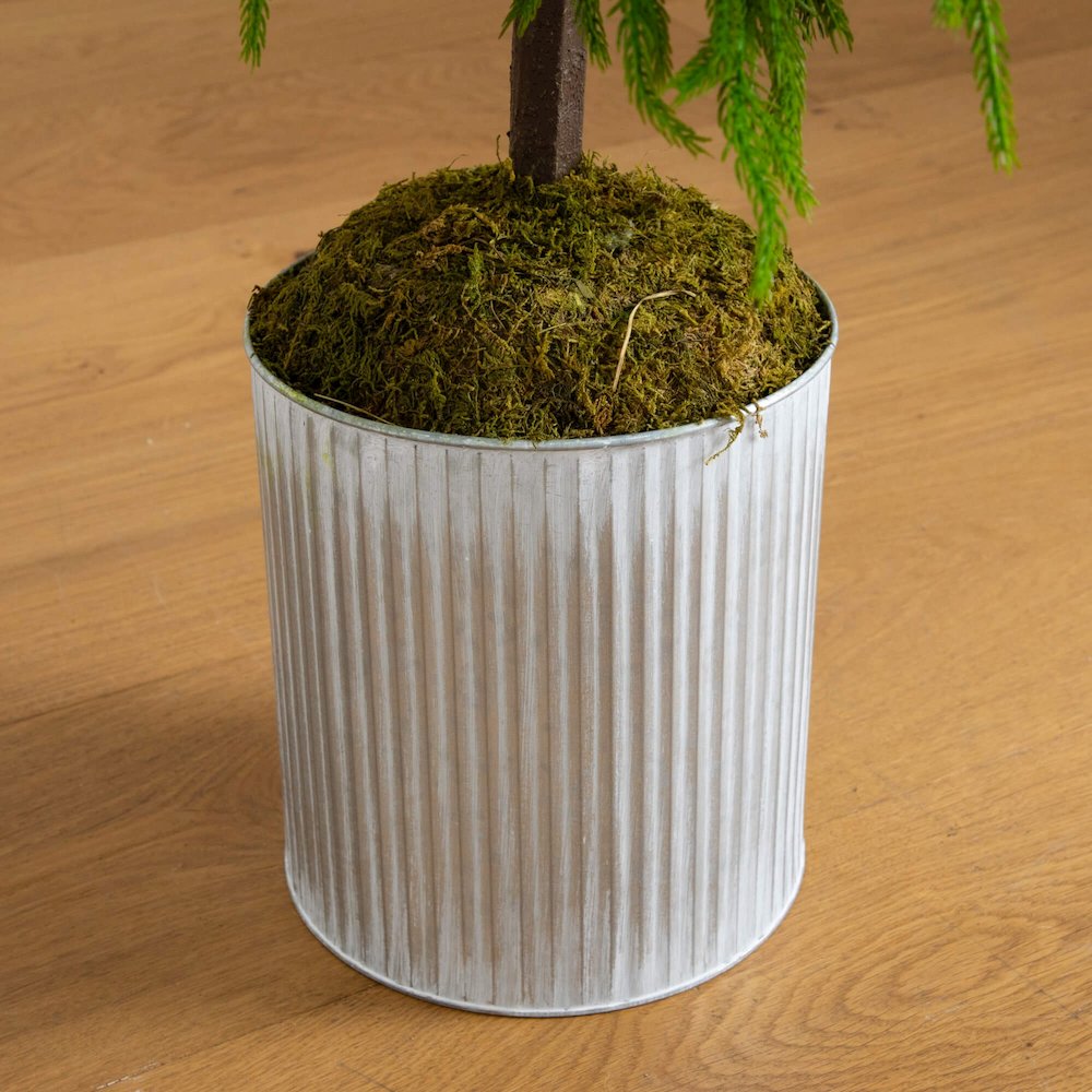 5ft. Artificial Real Touch Norfolk Island Pine in Metal Tin Planter. Picture 2