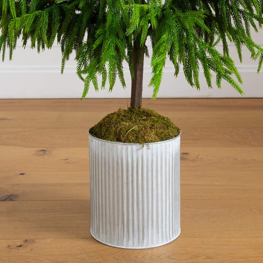 5ft. Artificial Real Touch Norfolk Island Pine in Metal Tin Planter. Picture 3