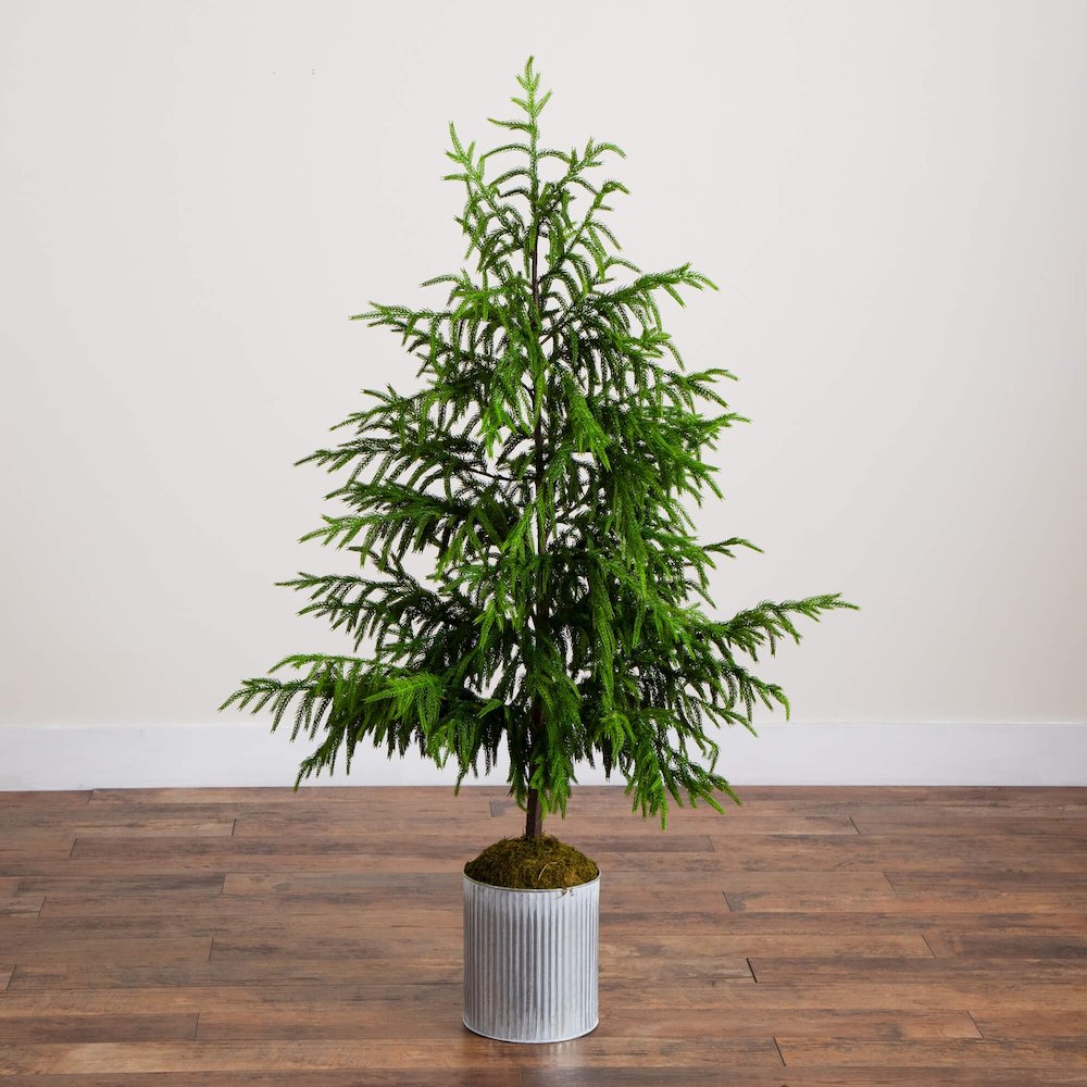 5ft. Artificial Real Touch Norfolk Island Pine in Metal Tin Planter. Picture 5