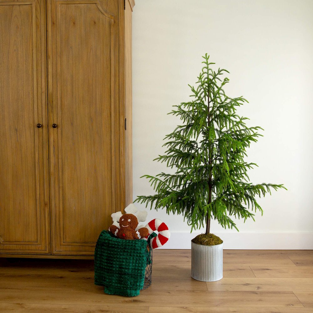 5ft. Artificial Real Touch Norfolk Island Pine in Metal Tin Planter. Picture 6