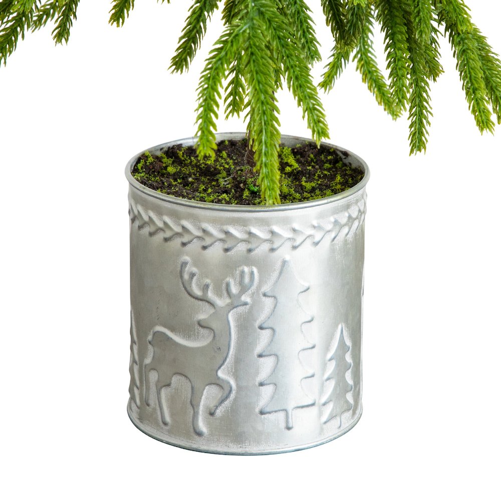 20in. Artificial Real Touch Down Swept Norfolk Island Pine. Picture 4