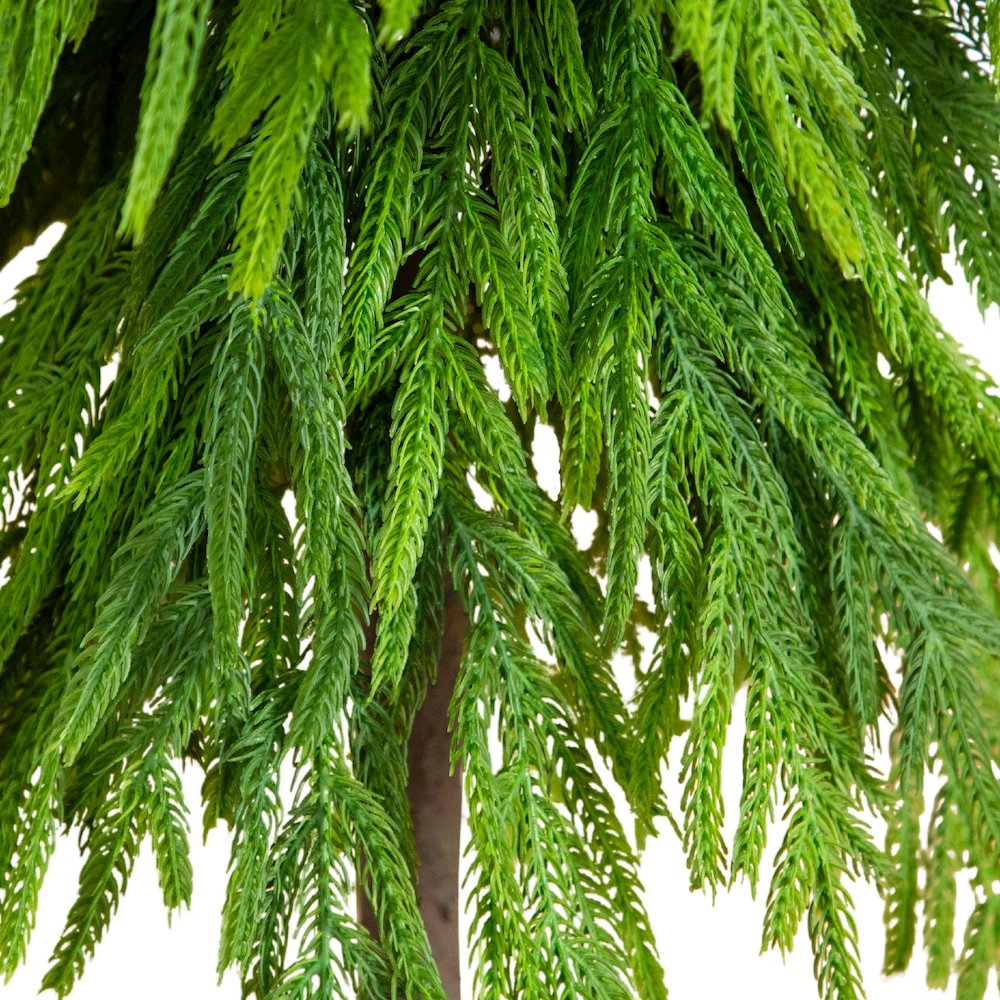 3ft. Artificial Real Touch Down Swept Norfolk Pine Tree with Natural Look. Picture 3