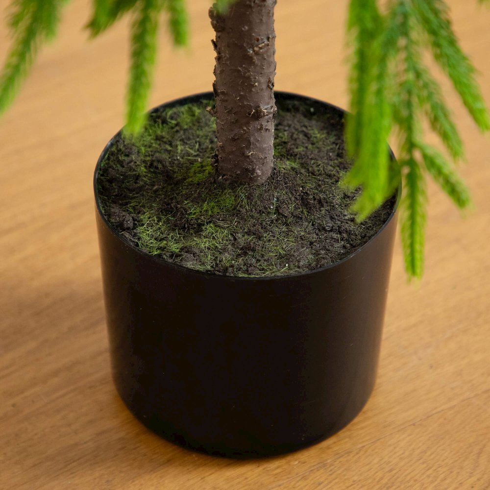 3ft. Artificial Real Touch Down Swept Norfolk Pine Tree with Natural Look. Picture 4
