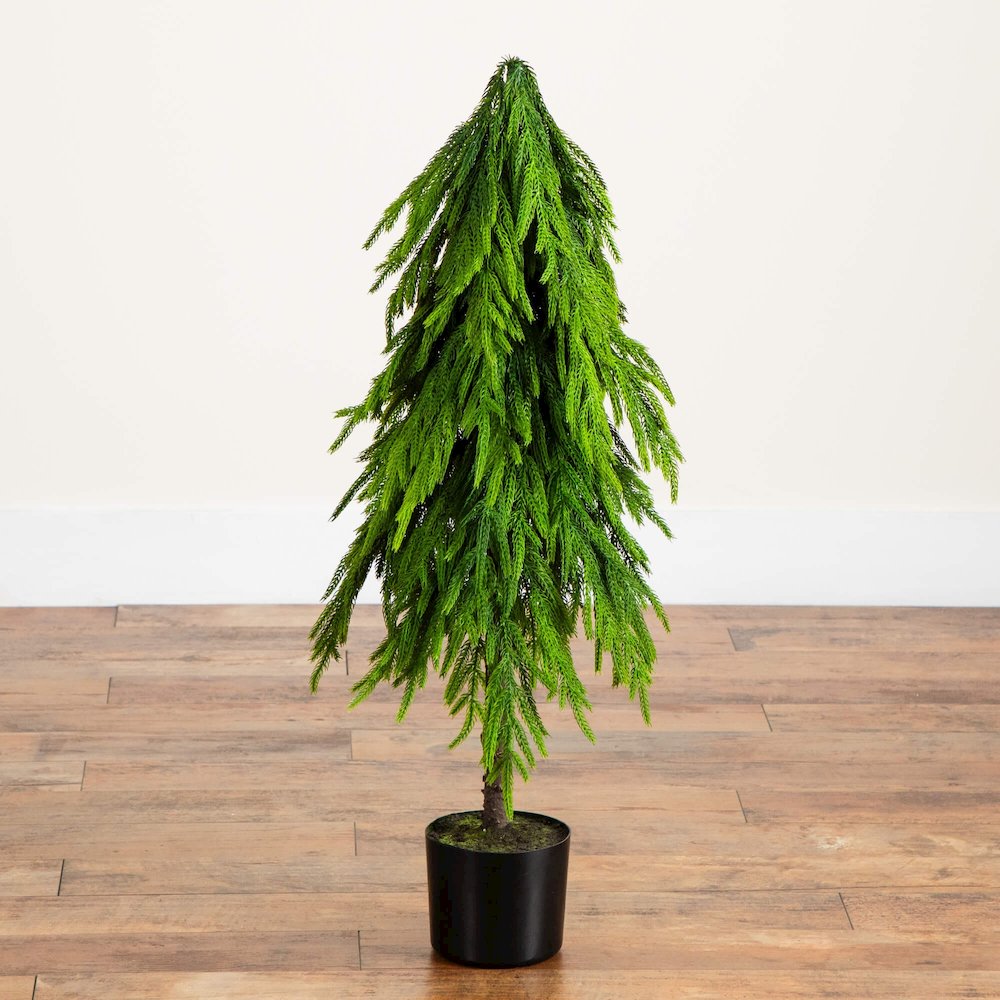 3ft. Artificial Real Touch Down Swept Norfolk Pine Tree with Natural Look. Picture 2