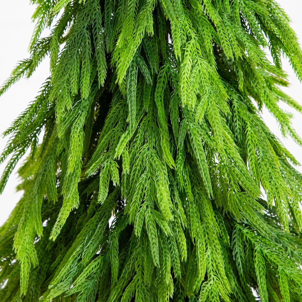 4ft. Artificial Real Touch Down Swept Norfolk Pine Tree with Natural Look. Picture 5
