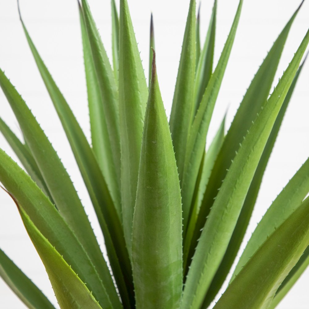 37in. UV Resistant Agave Plant in White Tower Planter (Indoor/Outdoor). Picture 4
