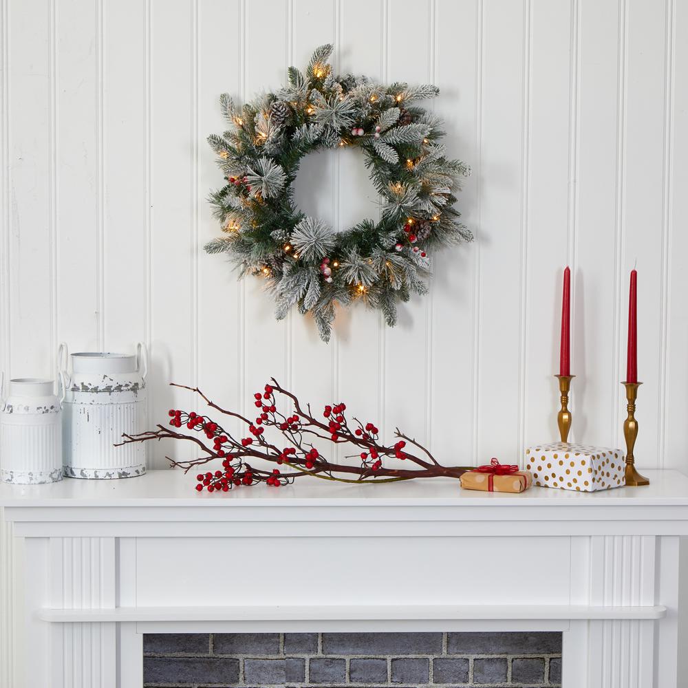 20in. Flocked Mixed Pine Artificial Christmas Wreath with 50 LED Lights, Pine Cones and Berries. Picture 5