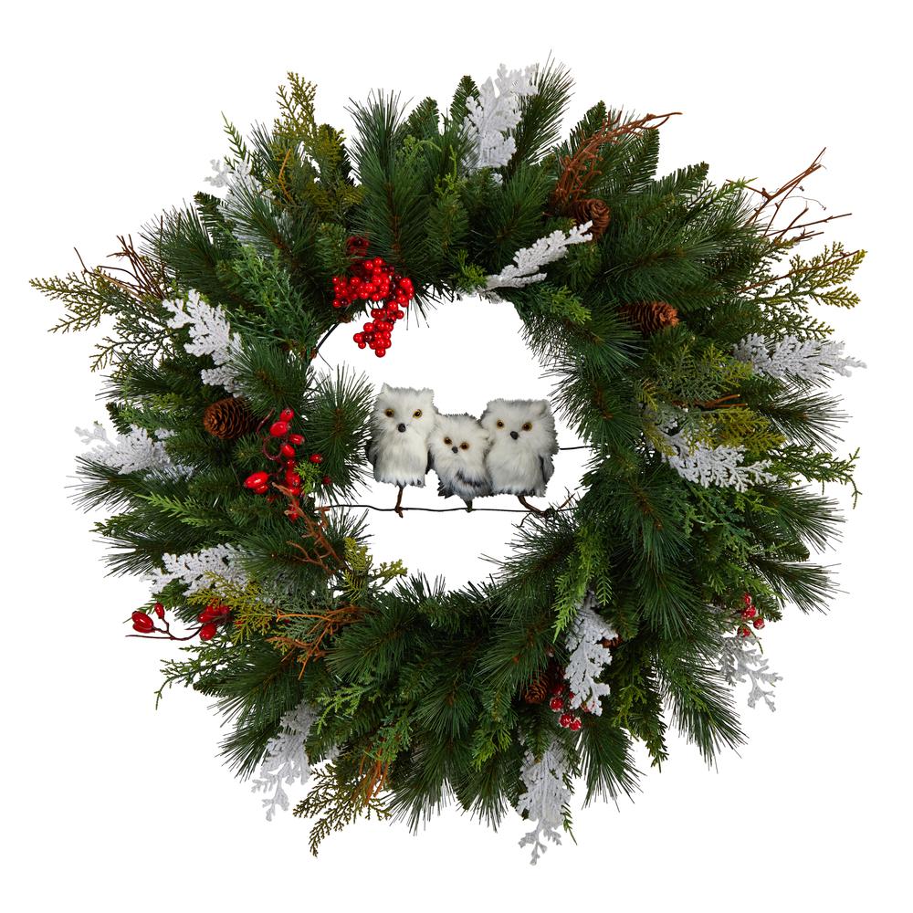 24in. Holiday Winter Owl Family Pinecone Berry Christmas Artificial Wreath. Picture 1