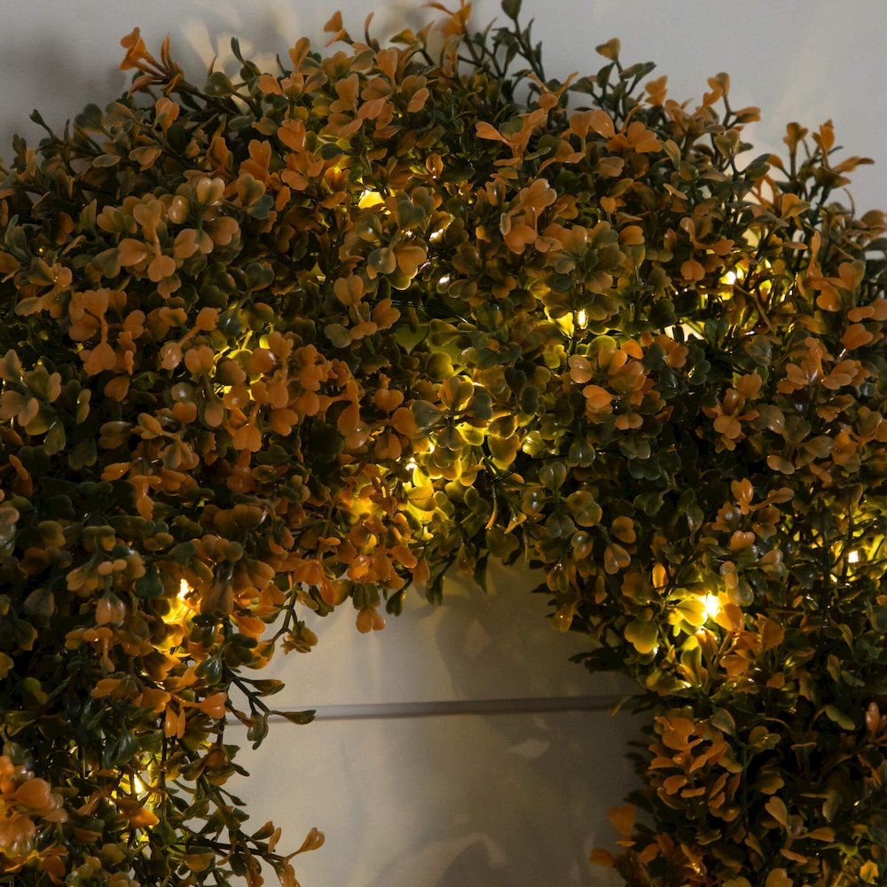 18in Pre-Lit Autumn Boxwood Artificial Fall Wreath with 25 Warm White LED Lights. Picture 2