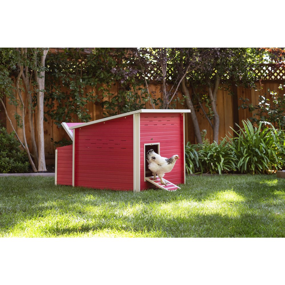 Jumbo Fontana Chicken Barn in Red. Picture 6