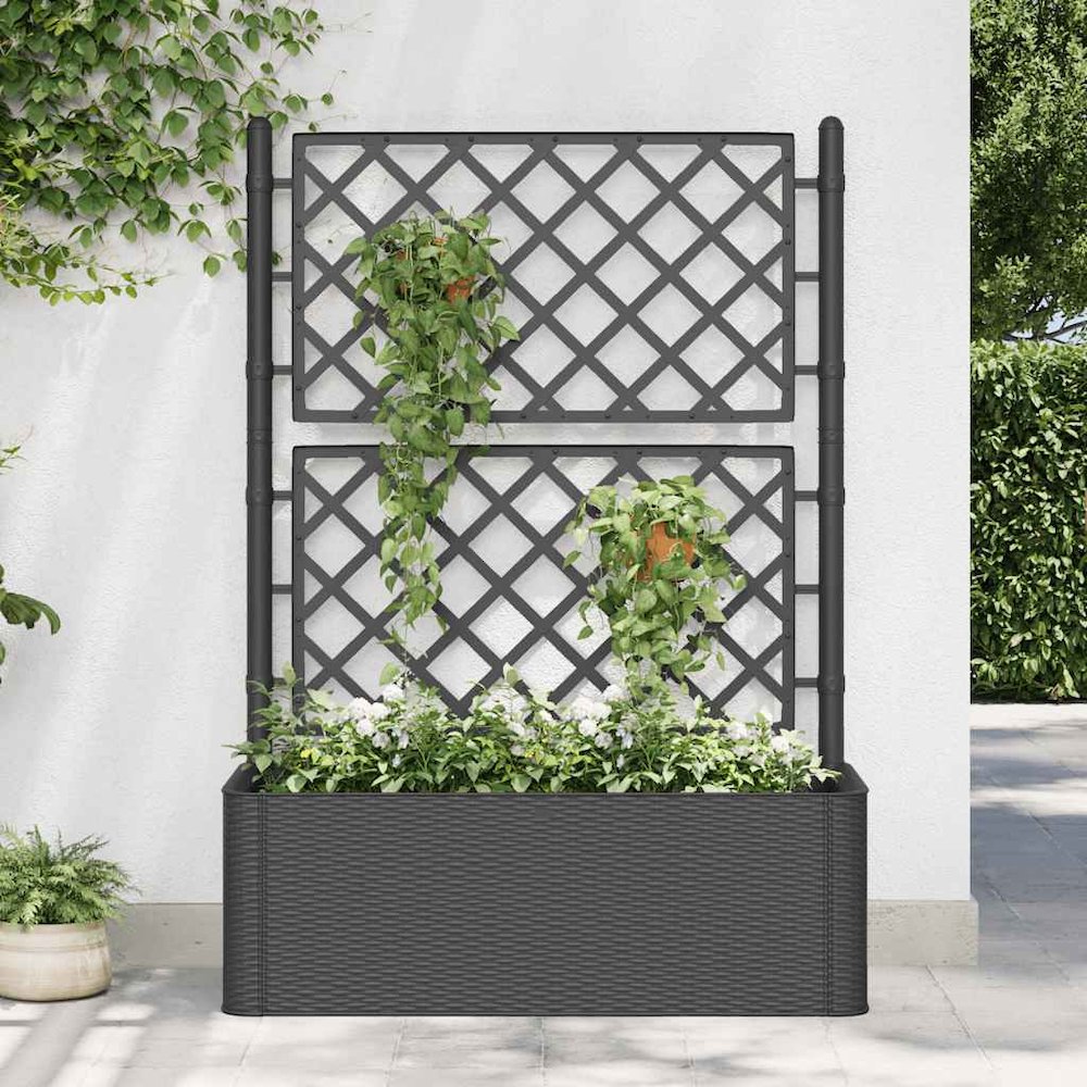 Raised Bed Anthracite Plastic (PP) 39.4 x 16.9 x 55.9 in Planters. Picture 4