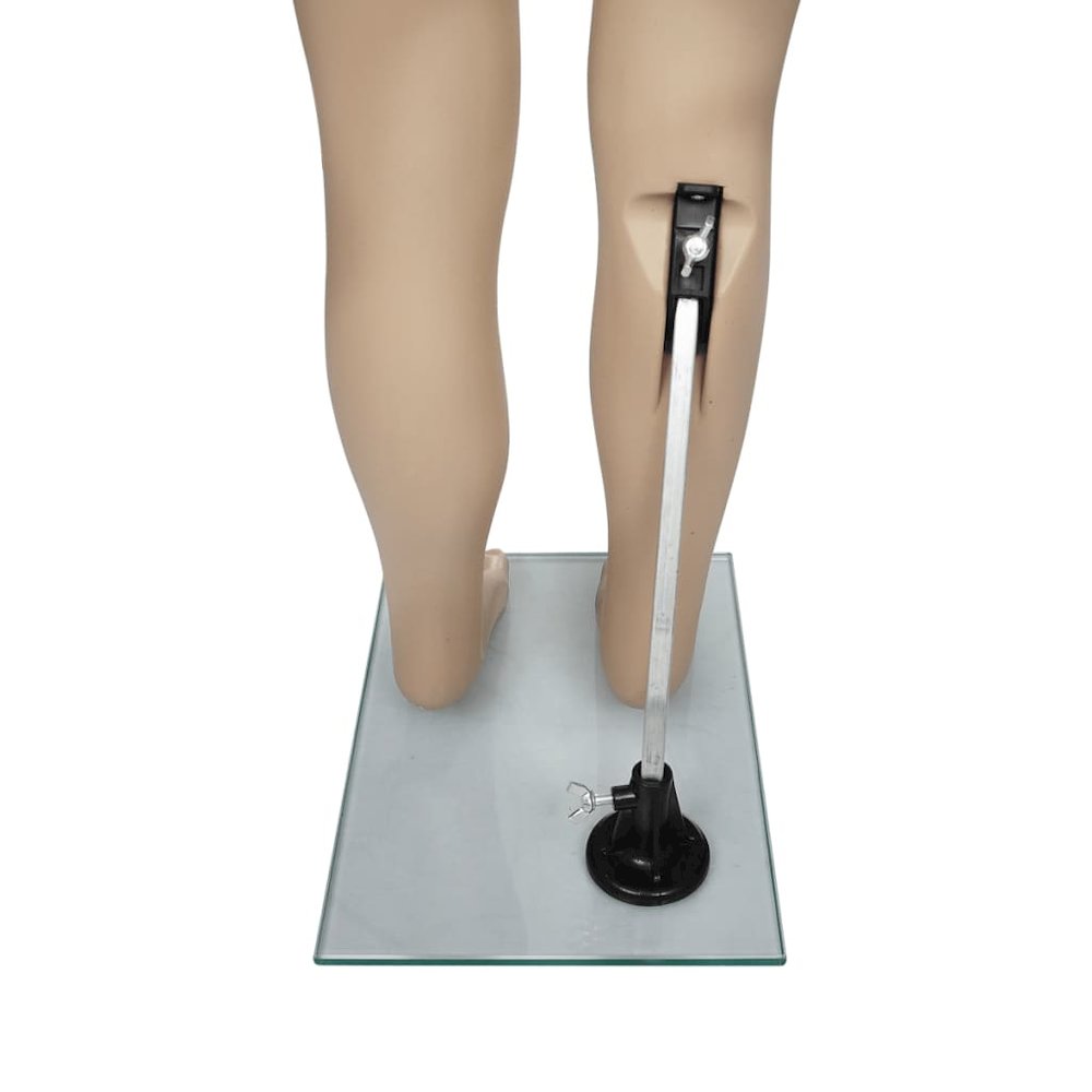 Mannequin Child A. Picture 10