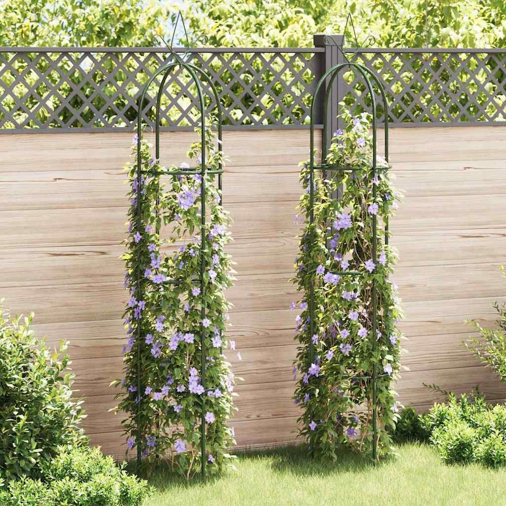 Garden Arch Dark green Iron Standard Decorative Design. Picture 2