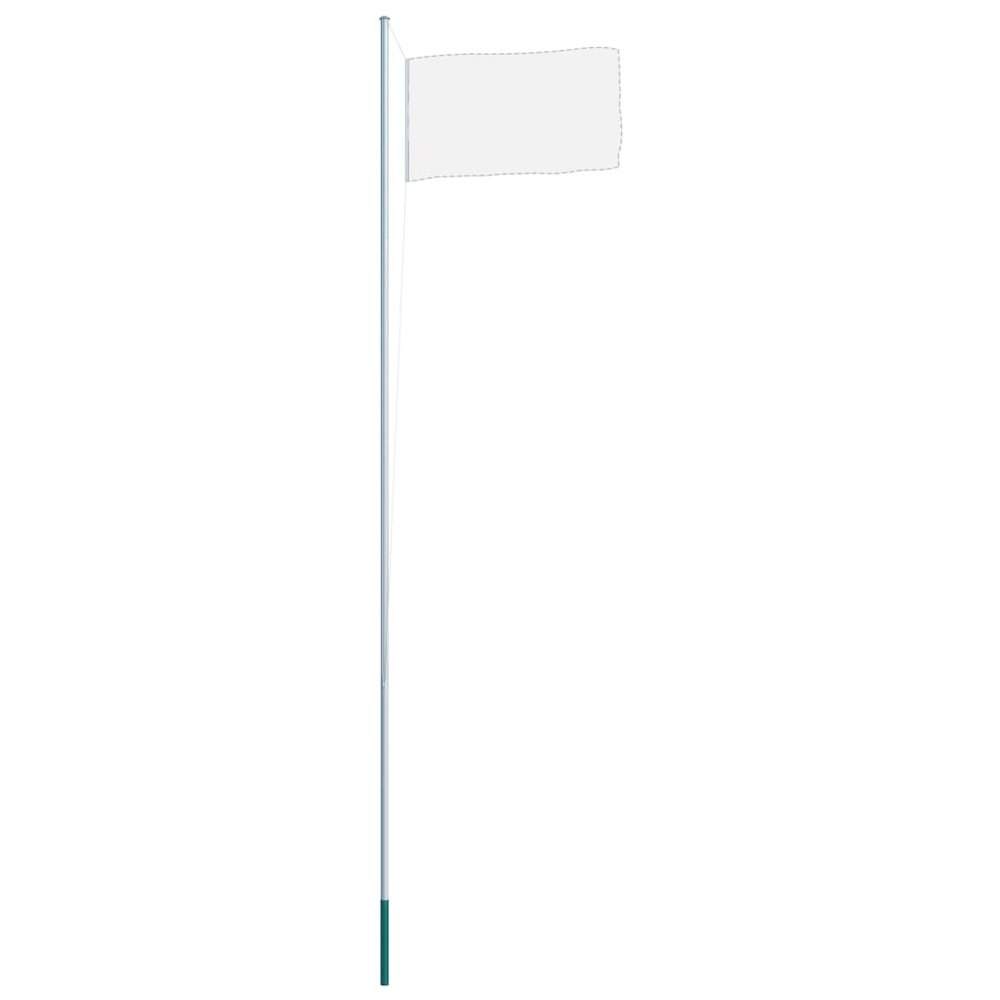Flagpole Silver Aluminum 20.3 ft Flagpole Cylindrical Modern. Picture 3