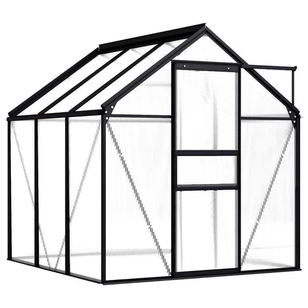 Greenhouse Anthracite and transparent Aluminum, Polycarbonate Large. Picture 2