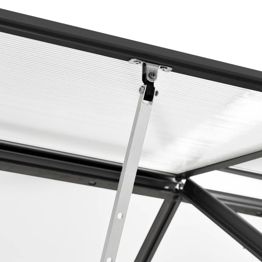 Greenhouse Anthracite and transparent Aluminum, Polycarbonate Large. Picture 6