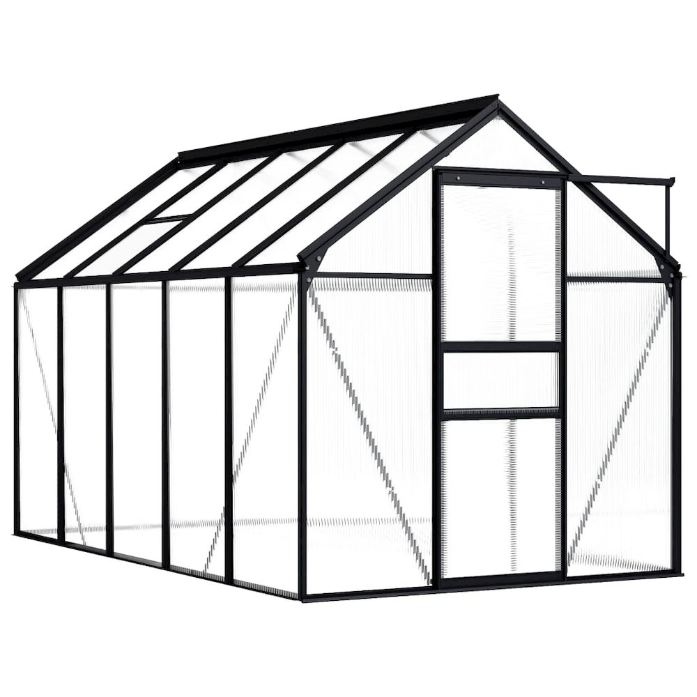 Greenhouse Anthracite, Transparent Aluminum, Polycarbonate. Picture 1