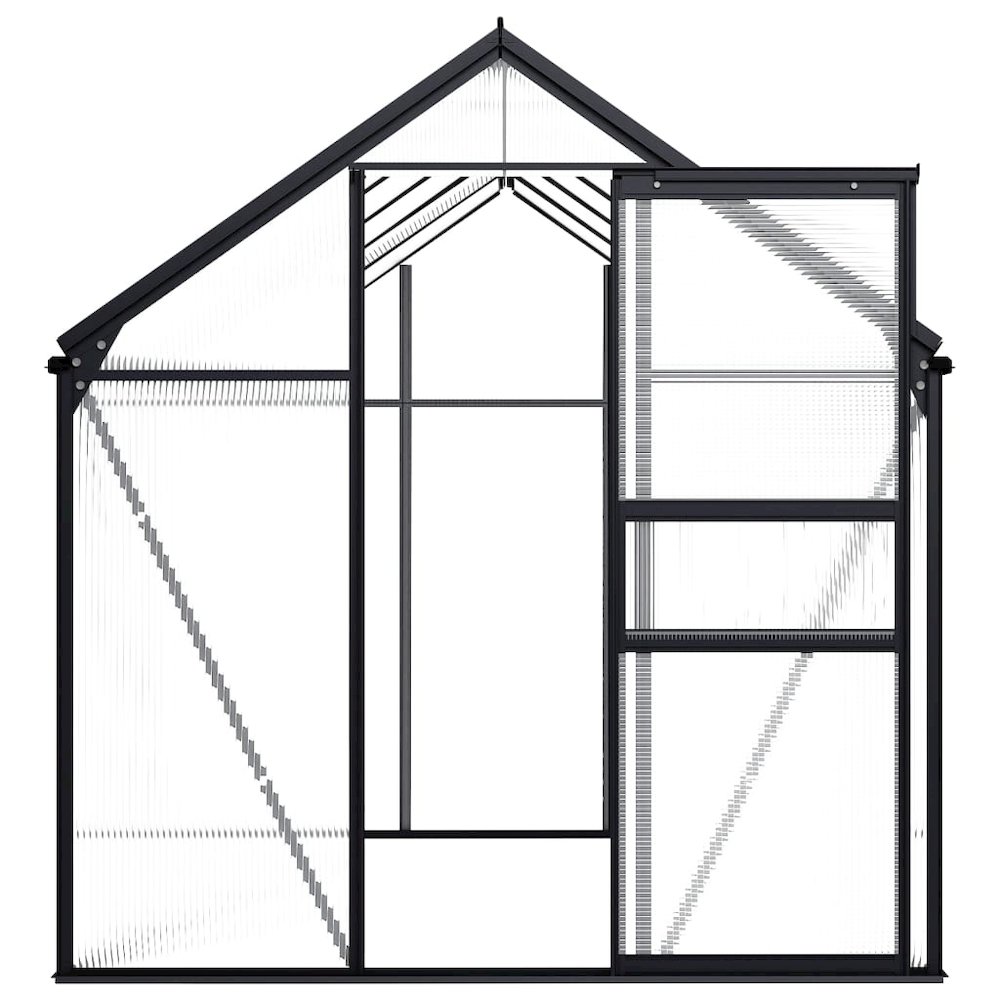Greenhouse Anthracite, Transparent Aluminum, Polycarbonate. Picture 3