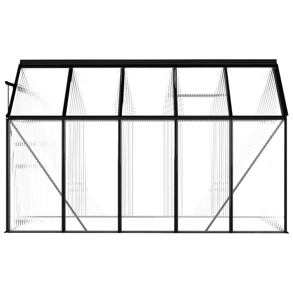 Greenhouse Anthracite, Transparent Aluminum, Polycarbonate. Picture 4