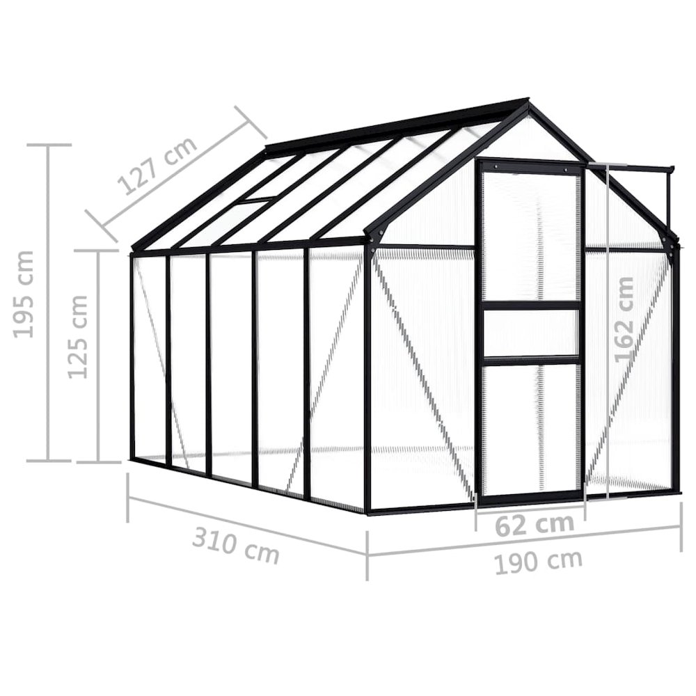 Greenhouse Anthracite, Transparent Aluminum, Polycarbonate. Picture 6