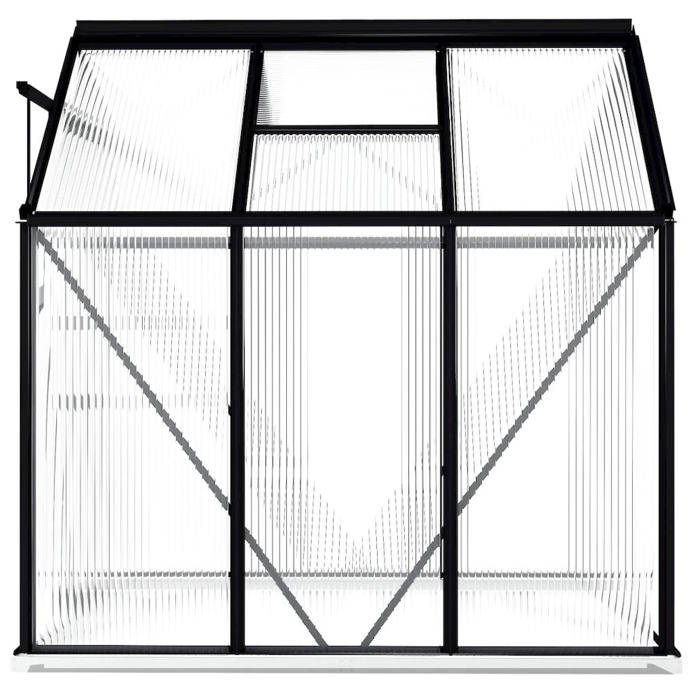 Greenhouse Anthracite and Transparent Aluminum and Polycarbonate. Picture 5