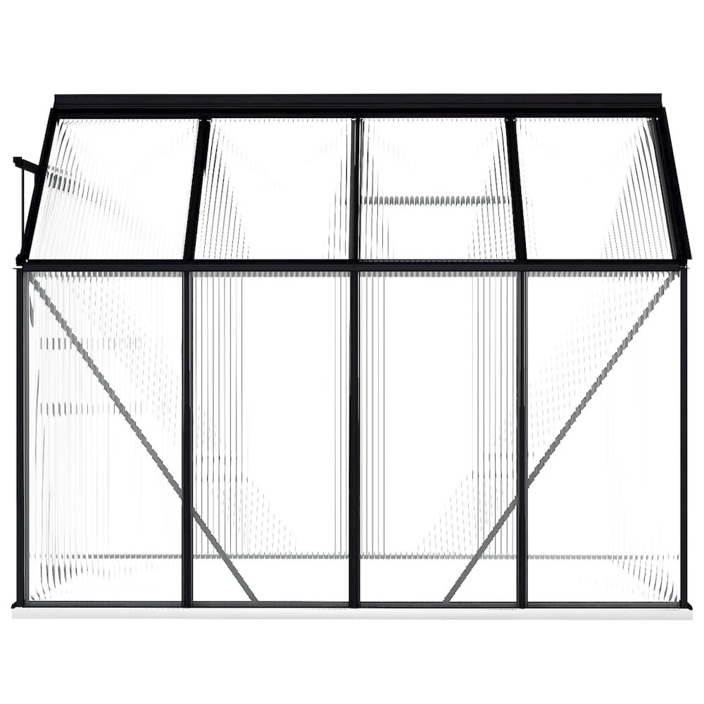 Greenhouse Anthracite and transparent Aluminum and polycarbonate. Picture 4