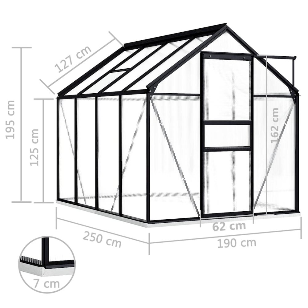 Greenhouse Anthracite and transparent Aluminum and polycarbonate. Picture 6