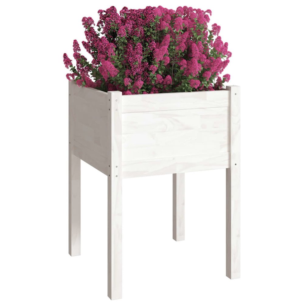 Planter White Solid pinewood Medium Durable Planter Square. Picture 3