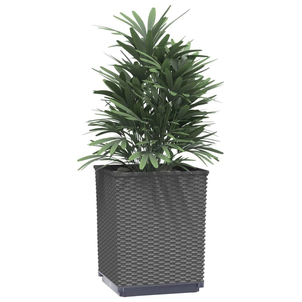 Planter Set of 4 Black Polypropylene Medium Decorative Inlays. Picture 3
