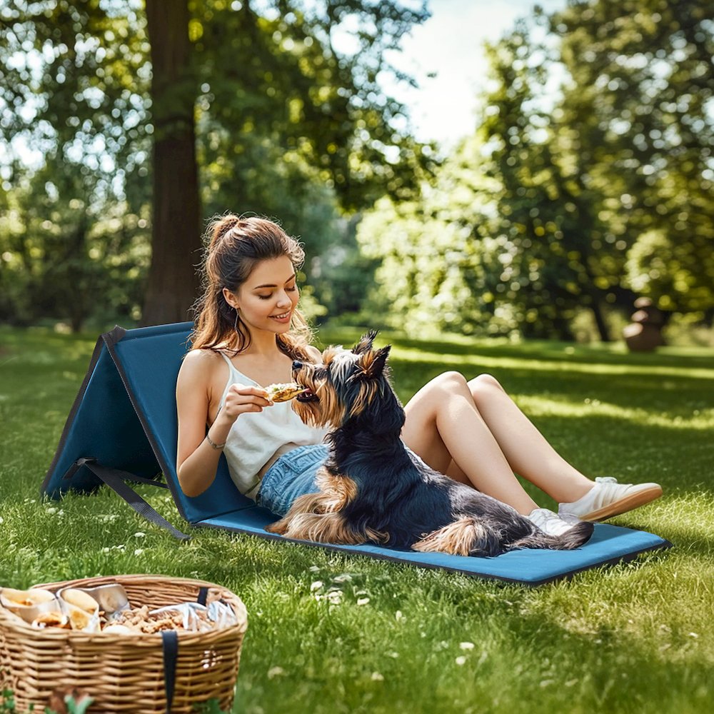 Portable Backrest Chair 2PK. Picture 6