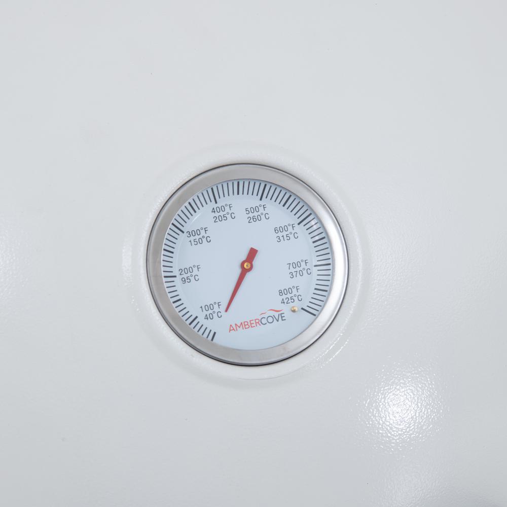 Sunjoy 20IN Egg-shaped Grill with Pizza Plate,white. Picture 8