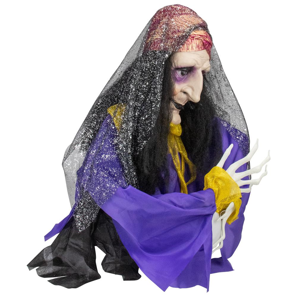 20" Animated Fortune Teller Halloween Decoration. Picture 3