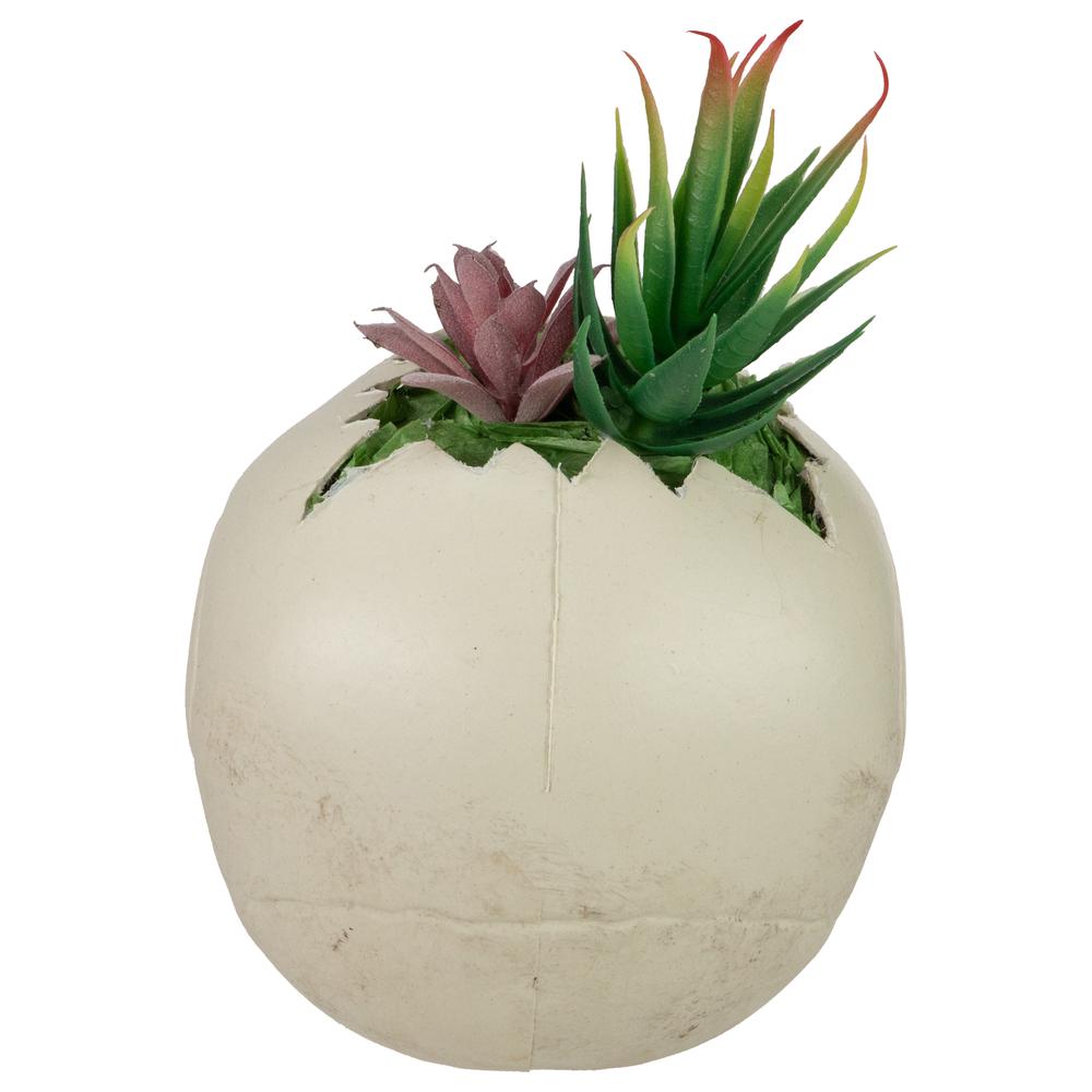 8.75" LED Lighted Succulent Halloween Skull Planter. Picture 5