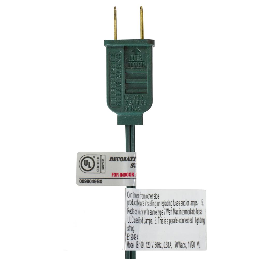 10 Multi-Color Transparent G40 Globe Christmas Lights - 9' Green Wire. Picture 3