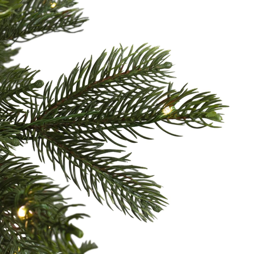 Pre-Lit Full Oregon Noble Artificial Christmas Tree 7.5'-Warm White LED Lights. Picture 4