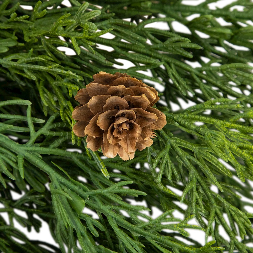 24" Soft Green Cedar Artificial Christmas Wreath with Pine Cones - Unlit. Picture 5