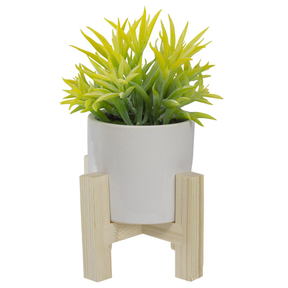 8" Potted Green Artificial Succulent with Wooden Stand. Picture 3